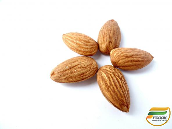 Bulk almond at cheap price