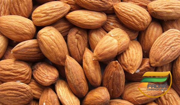 Surprising Effects of Eating Natural Almonds Daily