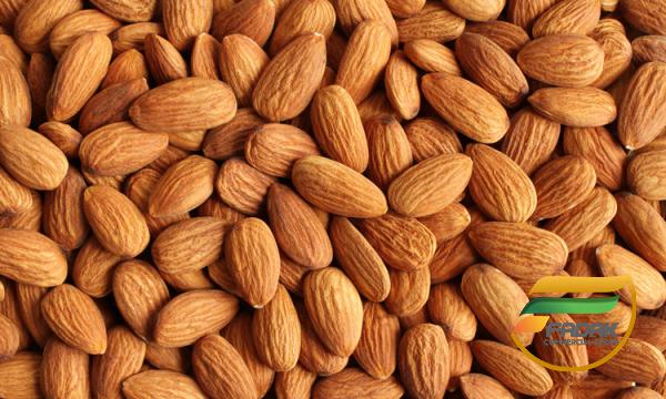 Bitter Almond vs Sweet Almond