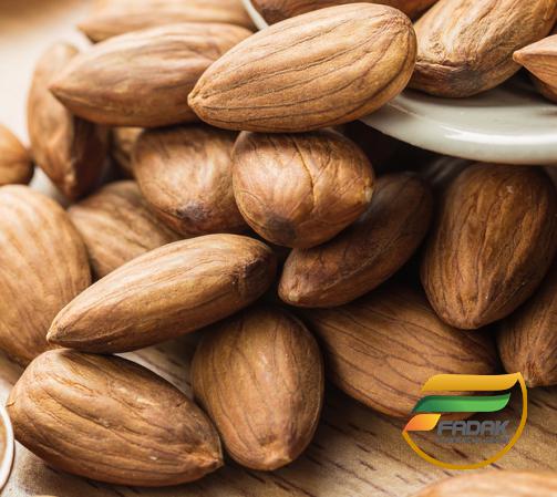 Bitter Almond for Bulk Purchase