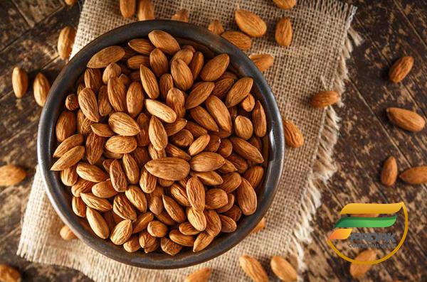 Essential Vitamin of Persian Almonds You Should Consider