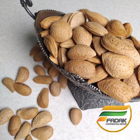 Premium Quality Stone Almond Sale