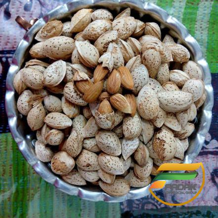 Paper Shell Almond Sale