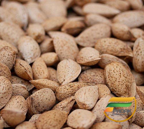 Paper Shell Almonds to Export