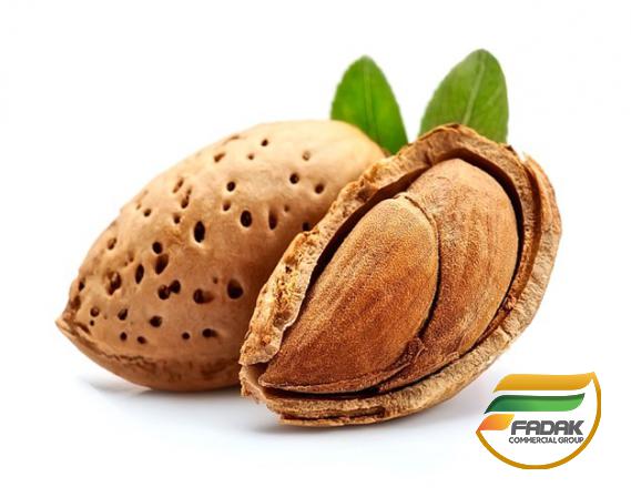 What Makes Persain Almond So Special?