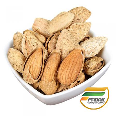 Buy the Best Paper Shell Almond from Us