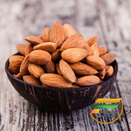 Study Facts about Almonds Protein Rich