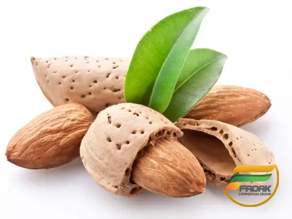 How to Identify Best Almonds?