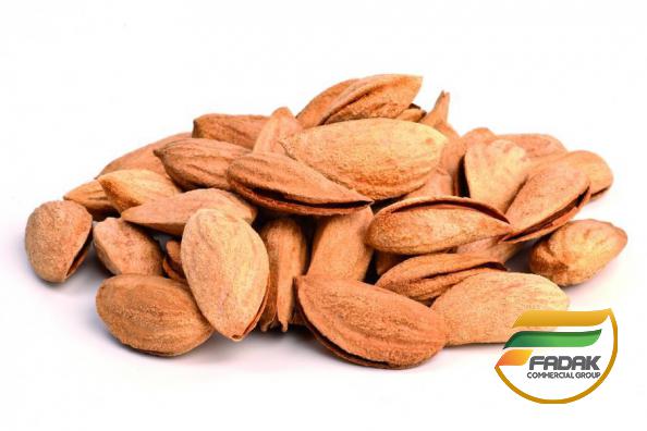 Distributor of Best Paper Shell Almonds