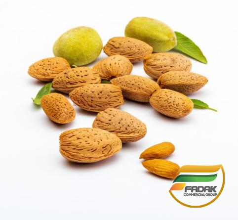 Premium Almond Suppliers