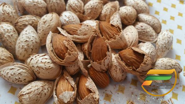 What Will Happen to Your Body If You Eat Almonds Every Day?