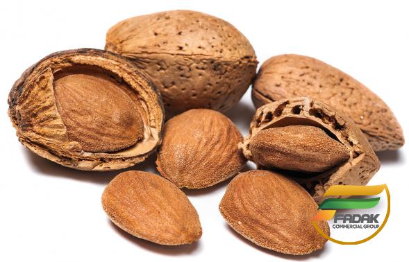 How to Store Almonds during Transportation Undamaged?