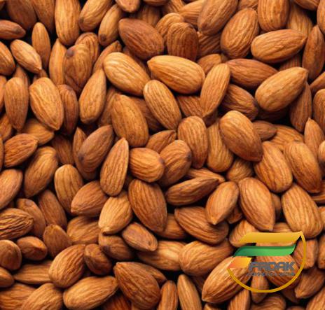 How Can You Beat Cholesterol by Eating Almond?