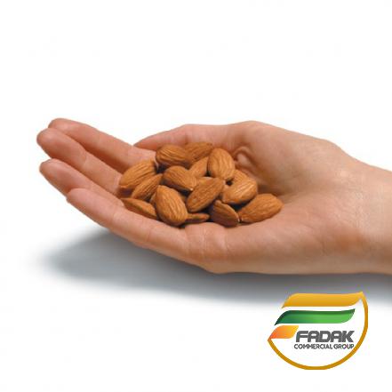 Best Sellers of Persian Almonds