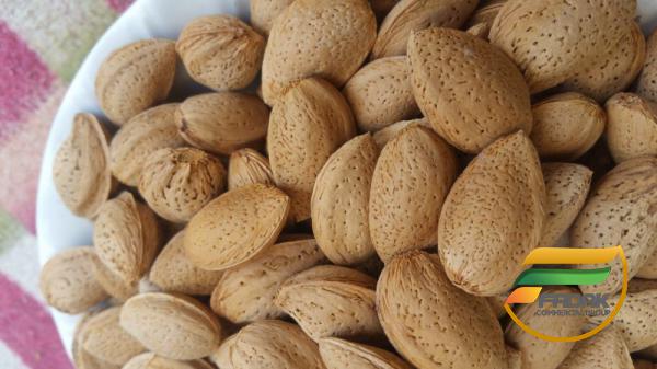 Why Should Diabetics Pay Attention to Almonds?