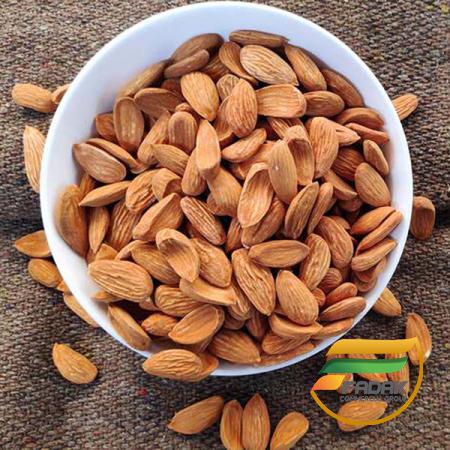 Which Badam Is Best for Health?