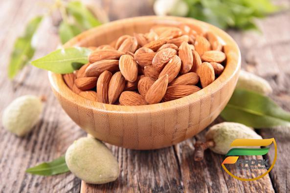 Differences of Mamra Almond vs Normal Almonds