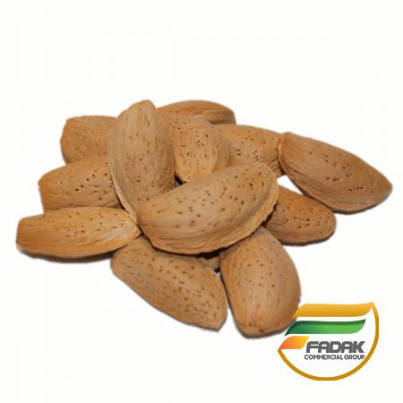 How May Almond Improve Your Memory?