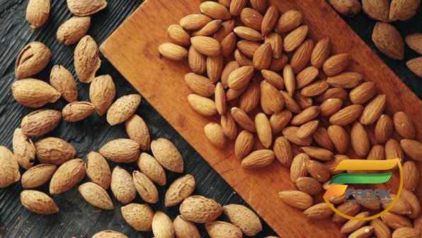 Dig Into the Health Benefits of Almonds