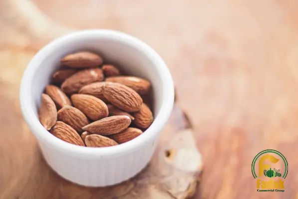 Economic Aspect of Wholesale Trading Almonds