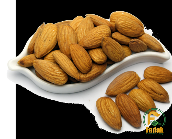 Peak of Selling Nourishing Almonds in the Middle East Market