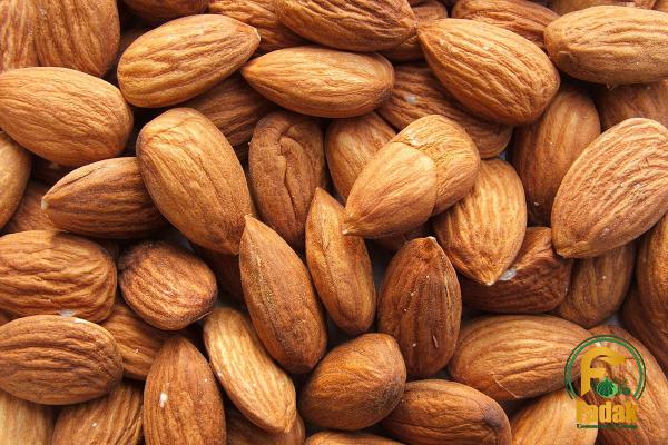 Top Registered Provider of Delicious Sweet Almonds