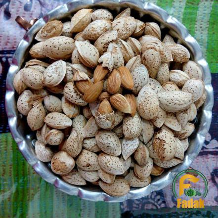 From A to Z of Distributing Paper Shell Almonds at Market