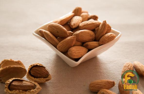 Find Best Supplier of Organic Mamra Almonds for Your Destination