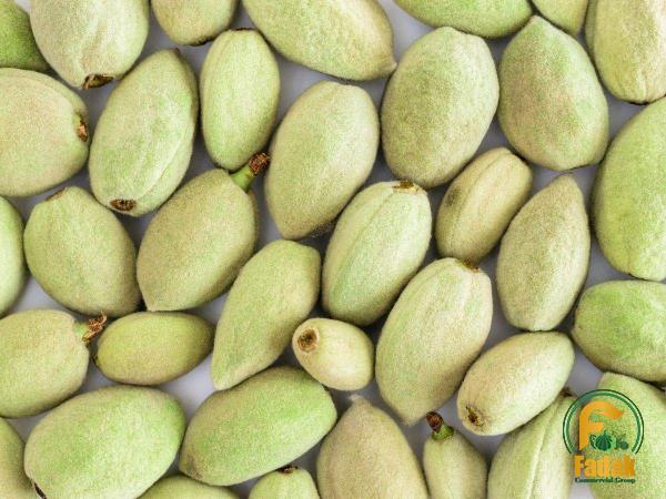 Struggles of Exporting Almond Fruit to Other Countries