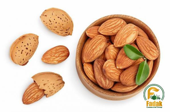 High Ranked Wholesale Dealer of Unique Almond in Shell