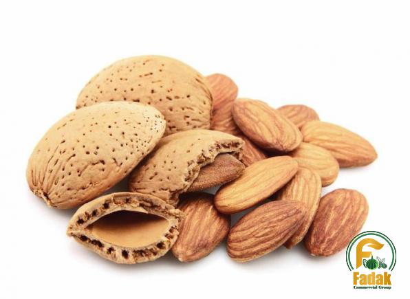 How to Send a Sample of Almond in Shell to the Importers?