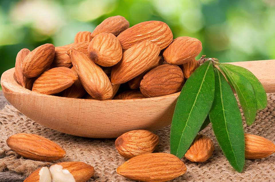 Import export Mamra almond wholesale price