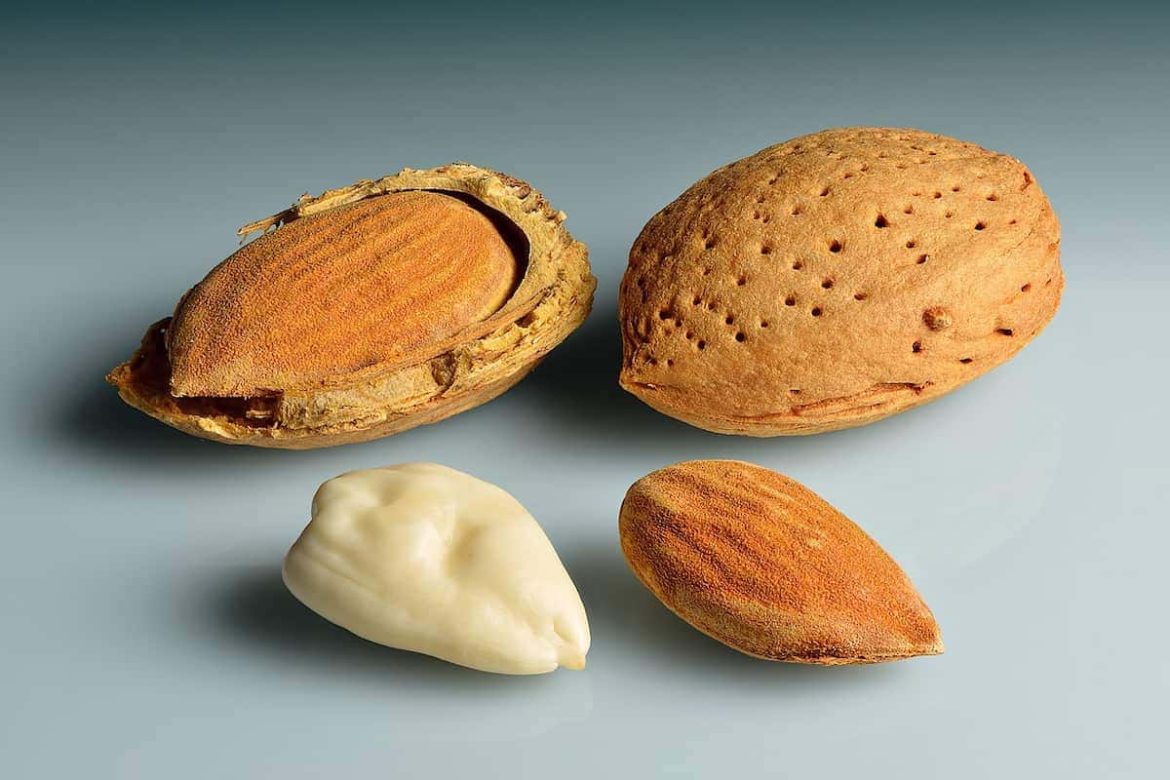 Bulk fresh almond in India