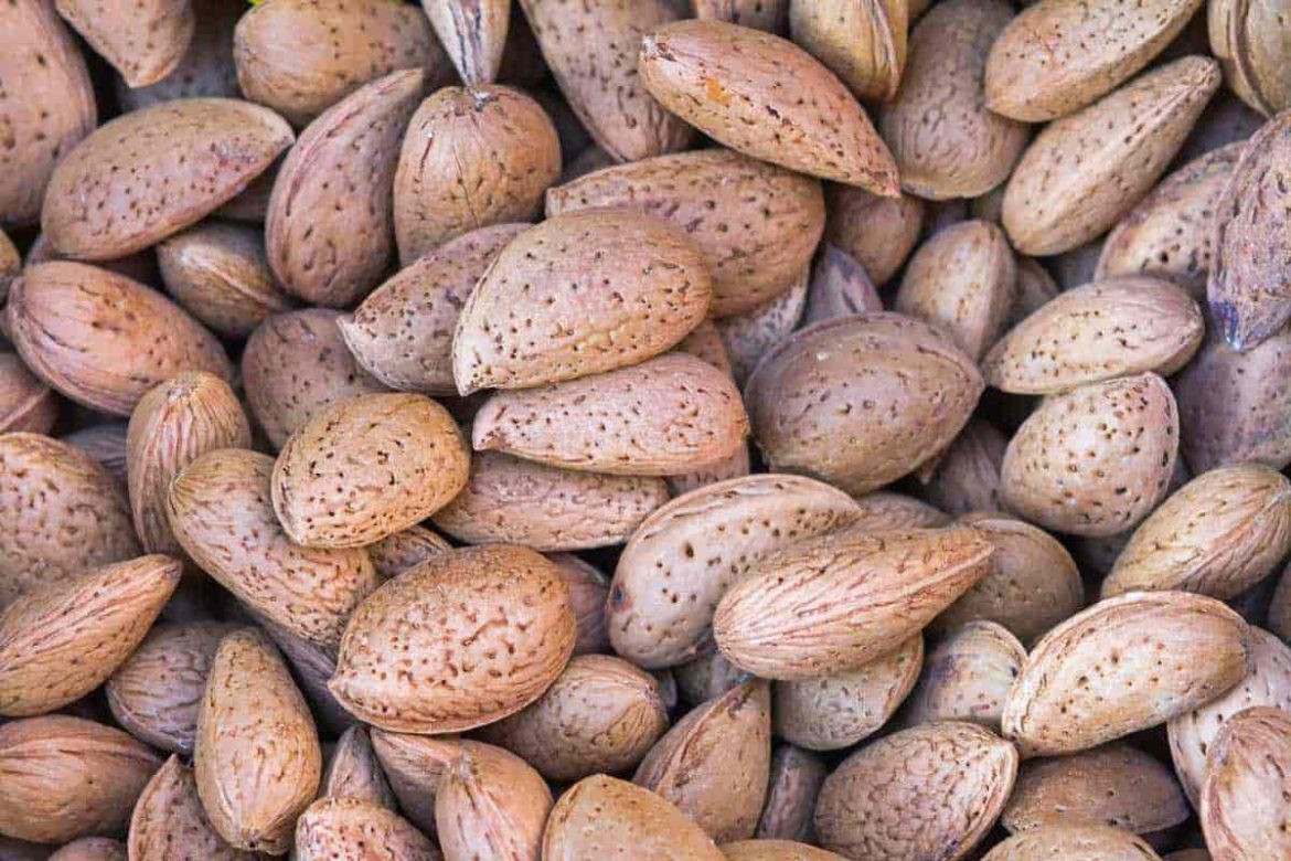 The price of almond with shell in Pakistan