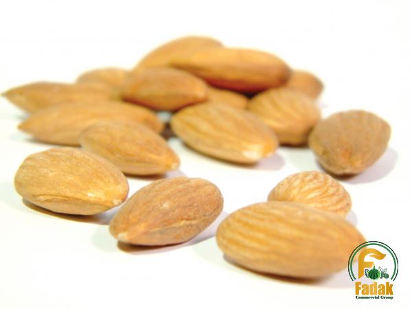 Raw almond in shell purchase price + photo