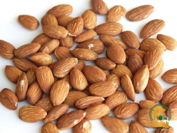 Buy raw bitter almonds nuts at an exceptional price