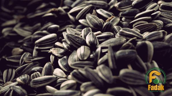 Bulk sunflower seeds for growing Australia | Reasonable price, great purchase