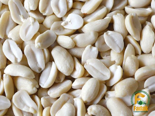 Buy roasted peanuts exporters in India + best price