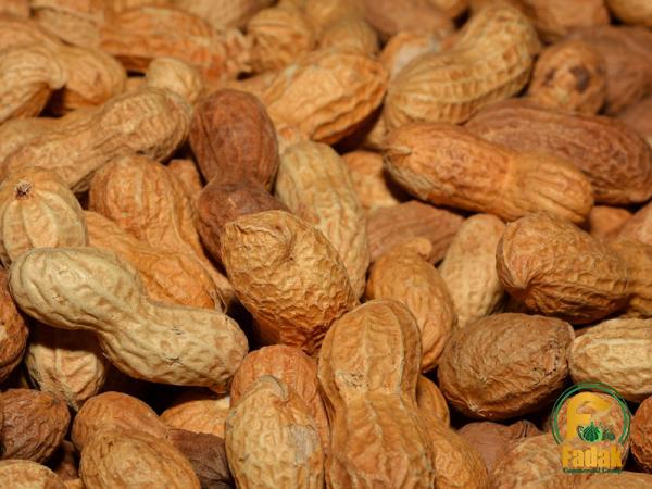 Buy dry roasted peanuts keto at an exceptional price