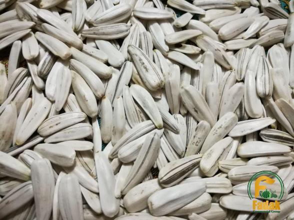 Buy and price of bulk sunflower seeds Australia