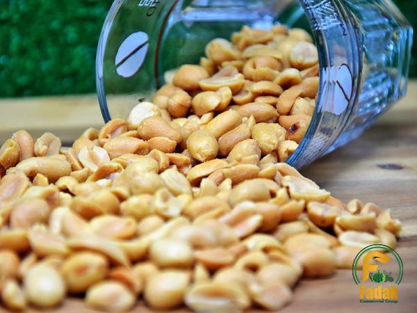 Buy and price of best roasted peanuts in shell