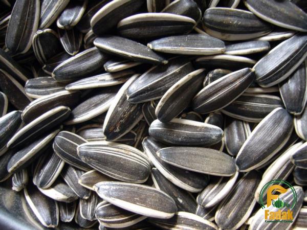 Smackin sunflower seeds purchase price + photo