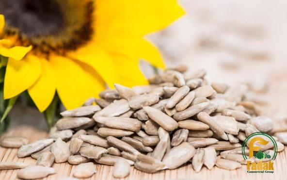 Buy sunflower seeds a nut + great price with guaranteed quality