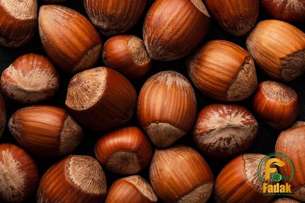 Roasted hazelnuts Woolworths price + wholesale and cheap packing specifications