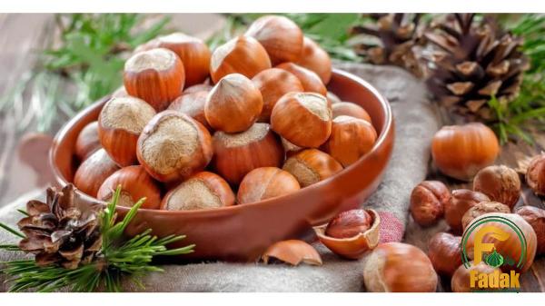 Roasted hazelnuts Costco buying guide + great price