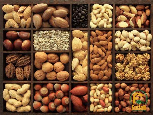 Dry nuts online shopping India + best buy price