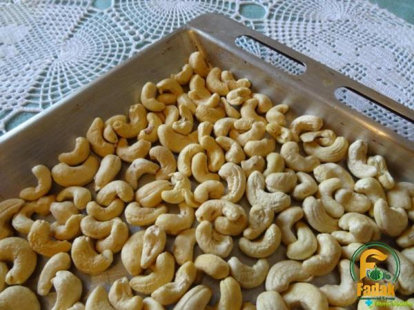 Buy new Family of cashew nut + great price