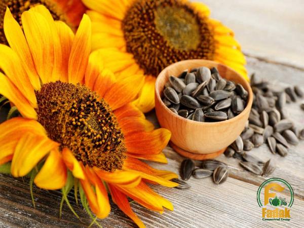 Buy bulk sunflower seeds amazon + best price