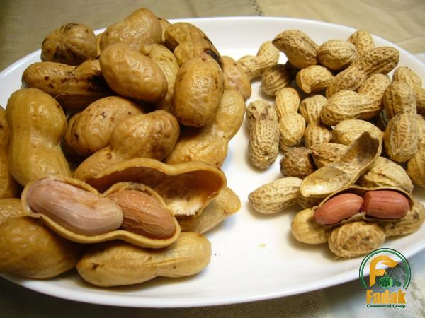 Buy roasted peanuts in shell Costco + best price