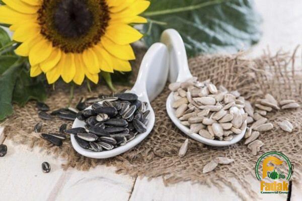 The purchase price of sunflower seeds bigs + training